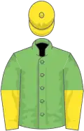 Light green, yellow halved sleeves, yellow cap