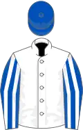 White, royal blue and white striped sleeves, royal blue cap