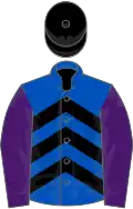 Royal blue and black chevrons, purple sleeves, black cap