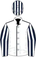 White, dark blue seams, dark blue and white striped sleeves and cap