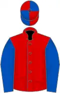 Red, royal blue sleeves, quartered cap