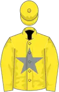 Yellow, grey star