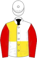 WHITE and YELLOW QUARTERED, red sleeves, white cap