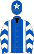 Royal blue, white braces, white and royal blue chevrons on sleeves, royal blue cap, white star
