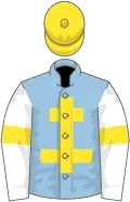 Light blue, yellow cross of lorraine, white sleeves, yellow armlets, yellow cap