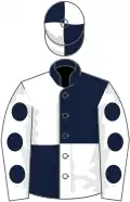 Dark blue and white (quartered), white sleeves, dark blue spots