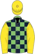 Light green and dark blue check, yellow sleeves and cap