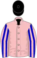Pink, blue striped sleeves, black cap