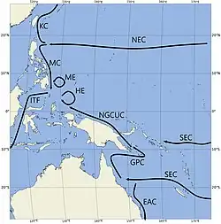 This image shows a number of low-latitude western boundary currents in the West Pacific Ocean. At the bottom we can see the South Equatorial Current bifurcating near Australia into the East Australian Current and the Gulf of Papua Current. The Gulf of Papua Current goes around the south of New Guinea before becoming the New Guinea Coastal Undercurrent and passing through the Vitiaz Strait. In the Northern Hemisphere, the north equatorial current bifurcates into the Kuroshio Current and the Mindanao Current just to east of Luzon. The Mindanao Current travels to the east of Luzon and Mindanao. It ends in an eddy called the Mindanao Eddy at the entrance to the Celebes Sea. The New Guinea Coastal Undercurrent also ends here. The Mindanao Eddy feeds the Indonesian Throughflow.