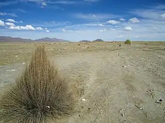 The Asanaki mountain range as seen from Machaqa Marka with Qurimina, Pepitu (4.478 m) and Wila Ch'ankha on the left and Iswaya Island (3.879 m) (lying in the Desaguadero River) in the middle of the picture.