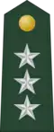 Lieutenant General