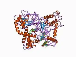 1a31: HUMAN RECONSTITUTED DNA TOPOISOMERASE I IN COVALENT COMPLEX WITH A 22 BASE PAIR DNA DUPLEX