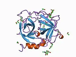 1a7s: ATOMIC RESOLUTION STRUCTURE OF HBP
