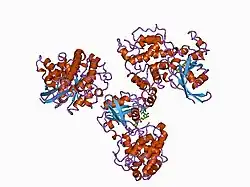 1am4: COMPLEX BETWEEN CDC42HS.GMPPNP AND P50 RHOGAP (H. SAPIENS)