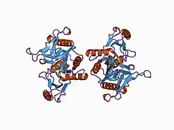 1aux: STRUCTURE OF THE C DOMAIN OF SYNAPSIN IA FROM BOVINE BRAIN WITH CALCIUM ATP-GAMMA-S BOUND