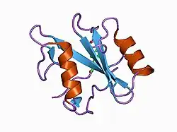 1ayb: CRYSTAL STRUCTURES OF PEPTIDE COMPLEXES OF THE AMINO-TERMINAL SH2 DOMAIN OF THE SYP TYROSINE PHOSPHATASE