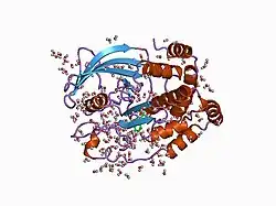 1bzj: Human ptp1b complexed with tpicooh
