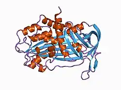 1c5g: PLASMINOGEN ACTIVATOR INHIBITOR-1
