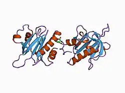 1cf0: HUMAN PLATELET PROFILIN COMPLEXED WITH AN L-PRO10-IODOTYROSINE PEPTIDE