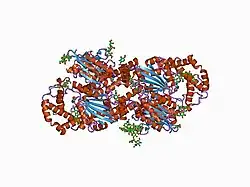 1cvi: CRYSTAL STRUCTURE OF HUMAN PROSTATIC ACID PHOSPHATASE