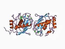 1d8f: CRYSTAL STRUCTURE OF MMP3 COMPLEXED WITH A PIPERAZINE BASED INHIBITOR.