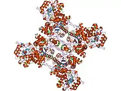 1do8: CRYSTAL STRUCTURE OF A CLOSED FORM OF HUMAN MITOCHONDRIAL NAD(P)+-DEPENDENT MALIC ENZYME