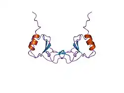 1dom: SOLUTION STRUCTURE OF THE MONOCYTE CHEMOATTRACTANT PROTEIN-1 DIMER USING HETERONUCLEAR, NMR, MINIMIZED AVERAGE STRUCTURE