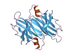 1dvq: CRYSTAL STRUCTURE OF HUMAN TRANSTHYRETIN