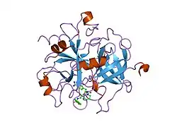 1dwd: CRYSTALLOGRAPHIC ANALYSIS AT 3.0-ANGSTROMS RESOLUTION OF THE BINDING TO HUMAN THROMBIN OF FOUR ACTIVE SITE-DIRECTED INHIBITORS