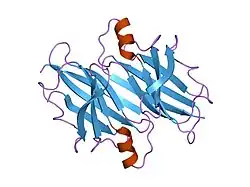 1e3f: STRUCTURE OF HUMAN TRANSTHYRETIN COMPLEXED WITH BROMOPHENOLS: A NEW MODE OF BINDING
