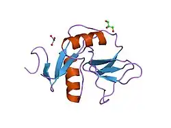1e87: HUMAN CD69 - TRIGONAL FORM