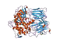 1e8n: PROLYL OLIGOPEPTIDASE FROM PORCINE BRAIN, MUTANT, COMPLEXED WITH PEPTIDE