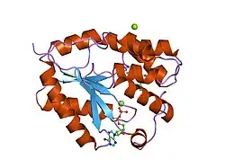 1e9e: MUTANT HUMAN THYMIDYLATE KINASE (F105Y) COMPLEXED WITH DTMP AND ADP