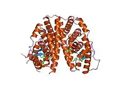 1err: HUMAN ESTROGEN RECEPTOR LIGAND-BINDING DOMAIN IN COMPLEX WITH RALOXIFENE