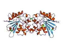 1fbt: THE BISPHOSPHATASE DOMAIN OF THE BIFUNCTIONAL RAT LIVER 6-PHOSPHOFRUCTO-2-KINASE/FRUCTOSE-2,6-BISPHOSPHATASE
