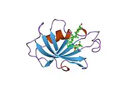 1fkj: ATOMIC STRUCTURE OF FKBP12-FK506, AN IMMUNOPHILIN IMMUNOSUPPRESSANT COMPLEX