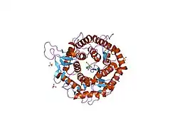 1fo2: CRYSTAL STRUCTURE OF HUMAN CLASS I ALPHA1,2-MANNOSIDASE IN COMPLEX WITH 1-DEOXYMANNOJIRIMYCIN