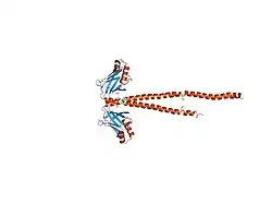 1fu1: CRYSTAL STRUCTURE OF HUMAN XRCC4