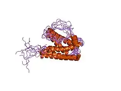 1gnc: STRUCTURE AND DYNAMICS OF THE HUMAN GRANULOCYTE COLONY-STIMULATING FACTOR DETERMINED BY NMR SPECTROSCOPY. LOOP MOBILITY IN A FOUR-HELIX-BUNDLE PROTEIN