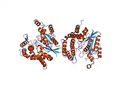 1gzs: CRYSTAL STRUCTURE OF THE COMPLEX BETWEEN THE GEF DOMAIN OF THE SALMONELLA TYPHIMURIUM SOPE TOXIN AND HUMAN CDC42