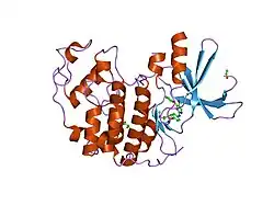 1h08: CDK2 IN COMPLEX WITH A DISUBSTITUTED 2, 4-BIS ANILINO PYRIMIDINE CDK4 INHIBITOR