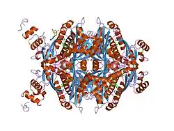 1hw8: COMPLEX OF THE CATALYTIC PORTION OF HUMAN HMG-COA REDUCTASE WITH COMPACTIN (ALSO KNOWN AS MEVASTATIN)