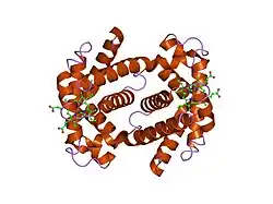 1i3d: HUMAN CARBONMONOXY HEMOGLOBIN BART'S (GAMMA4)