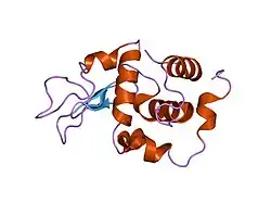 1ip5: G105A HUMAN LYSOZYME