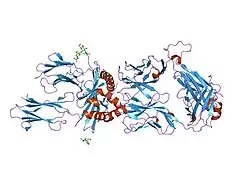 1j8h: Crystal Structure of a Complex of a Human alpha/beta-T cell Receptor, Influenza HA Antigen Peptide, and MHC Class II Molecule, HLA-DR4
