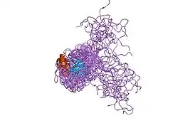 1jfn: SOLUTION STRUCTURE OF HUMAN APOLIPOPROTEIN(A) KRINGLE IV TYPE 6