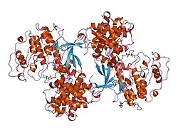 1jst: PHOSPHORYLATED CYCLIN-DEPENDENT KINASE-2 BOUND TO CYCLIN A