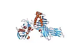 1jwu: Crystal Structure of the Complex of the MHC Class II Molecule HLA-DR1 (HA peptide 306-318) with the superantigen SEC3 Variant 3B2