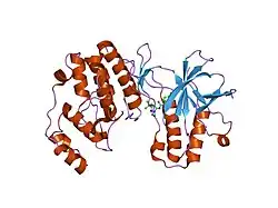 1kv1: P38 MAP kinase in complex with inhibitor 1
