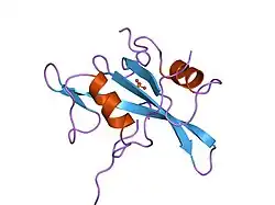 1lcj: SH2 (SRC HOMOLOGY-2) DOMAIN OF HUMAN P56-LCK TYROSINE KINASE COMPLEXED WITH THE 11 RESIDUE PHOSPHOTYROSYL PEPTIDE EPQPYEEIPIYL